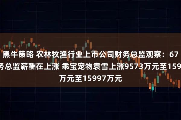 黑牛策略 农林牧渔行业上市公司财务总监观察：67%的财务总监薪酬在上涨 乖宝宠物袁雪上涨9573万元至15997万元