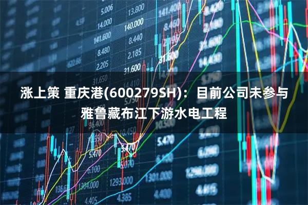 涨上策 重庆港(600279SH)：目前公司未参与雅鲁藏布江下游水电工程