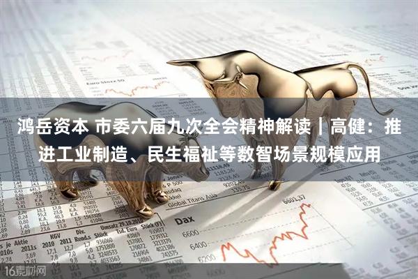 鸿岳资本 市委六届九次全会精神解读｜高健：推进工业制造、民生福祉等数智场景规模应用